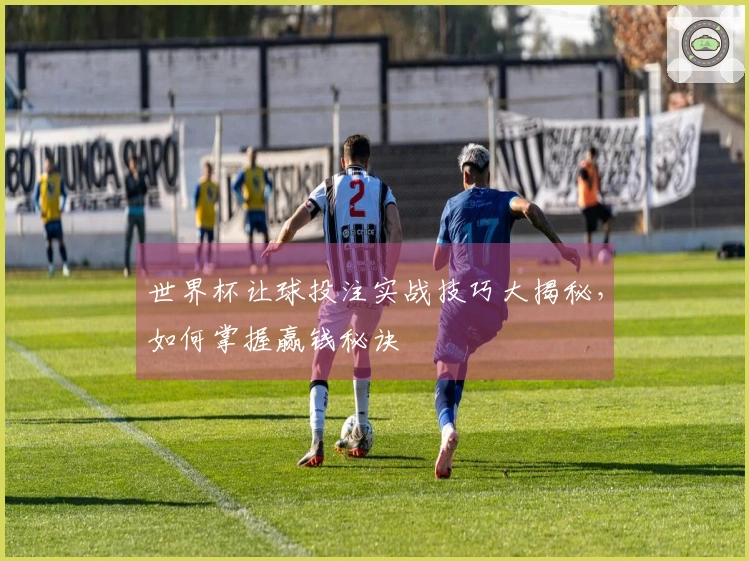 世界杯让球投注实战技巧大揭秘，如何掌握赢钱秘诀