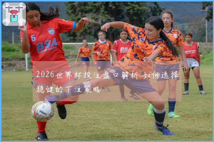 2026世界杯投注盘口解析 如何选择稳健的下注策略