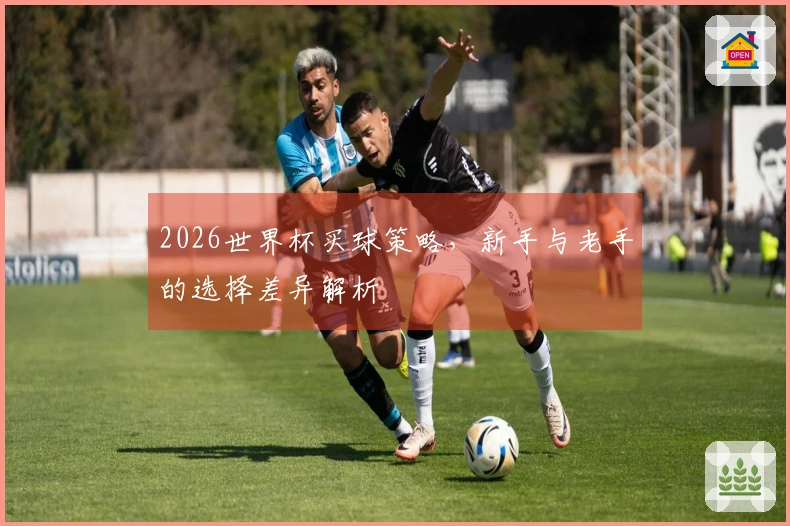 2026世界杯买球策略，新手与老手的选择差异解析