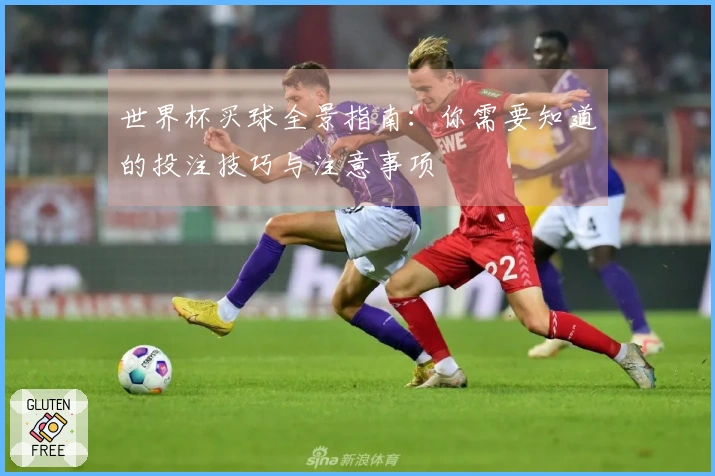世界杯买球全景指南：你需要知道的投注技巧与注意事项