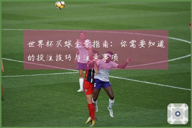 世界杯买球全景指南：你需要知道的投注技巧与注意事项